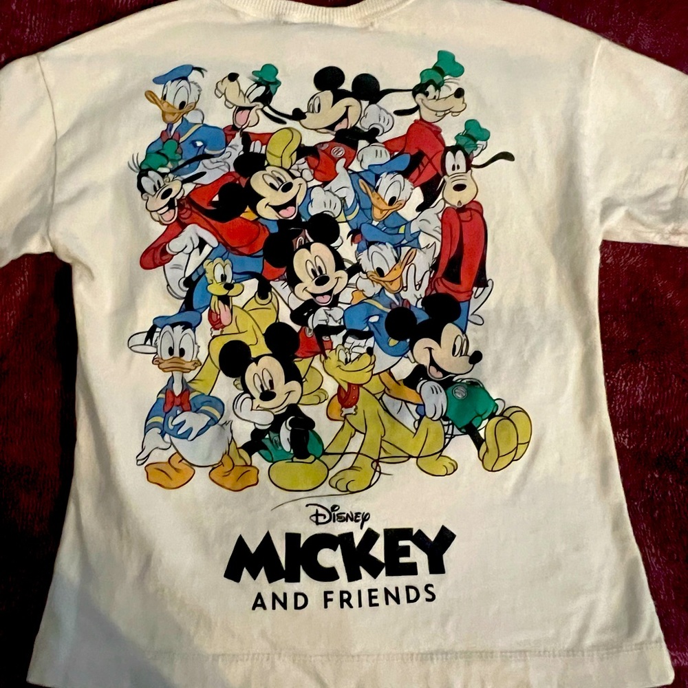 Zara Disney